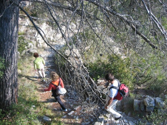 Parcours randonnée